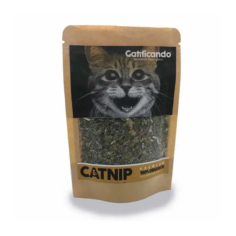 CatNip Menta Gatuna - Gatificando